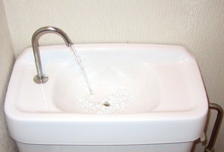 toilet250x170.jpg