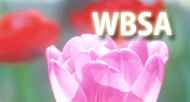 wbsa_190X102.jpg